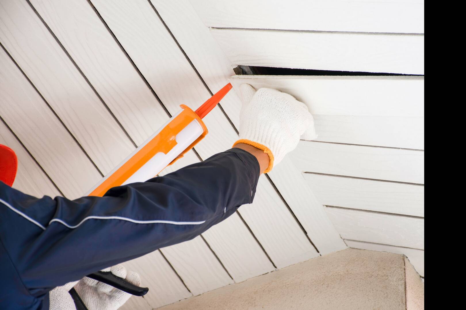 HomeGuard Pest Solutions