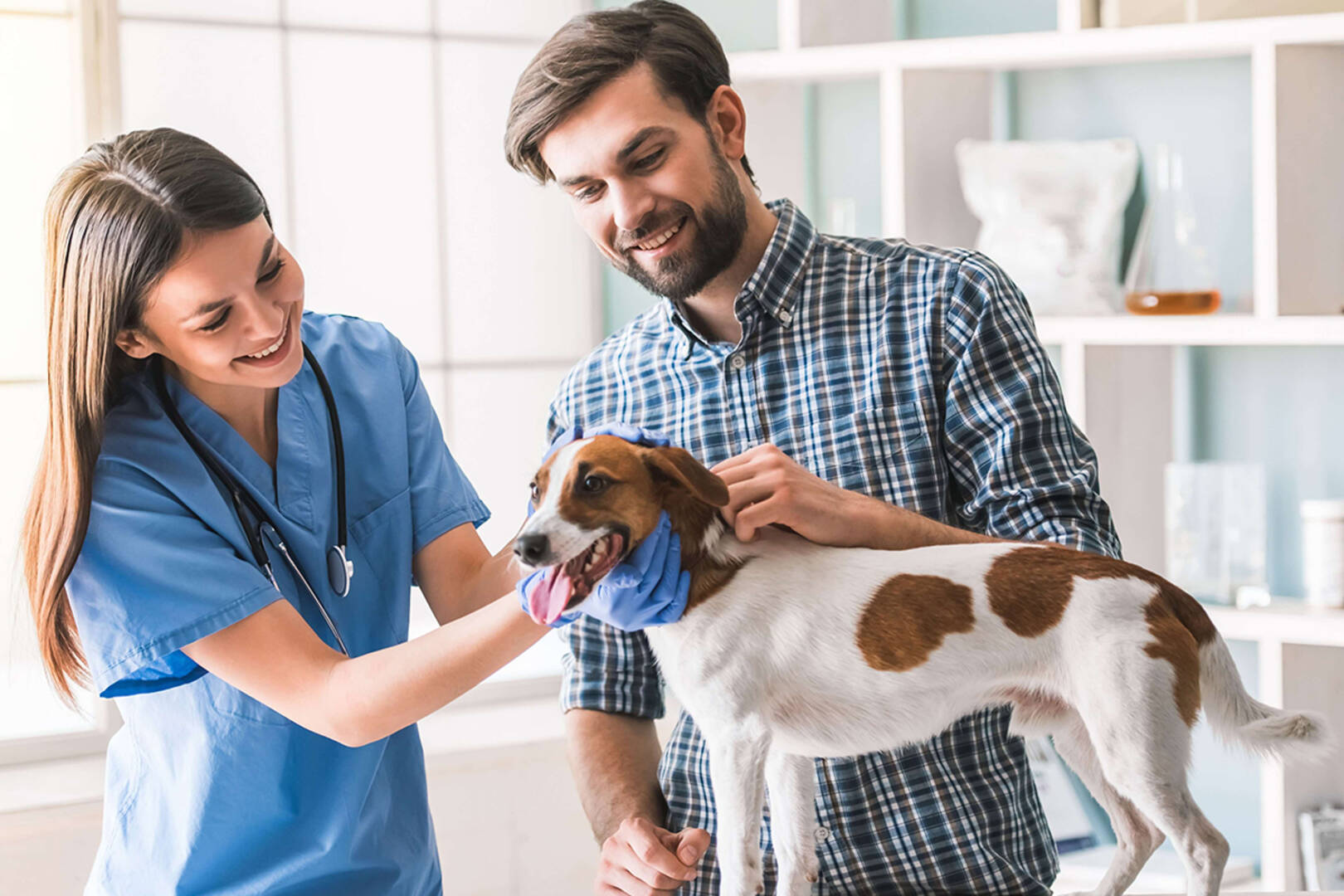 River West Animal Hospital