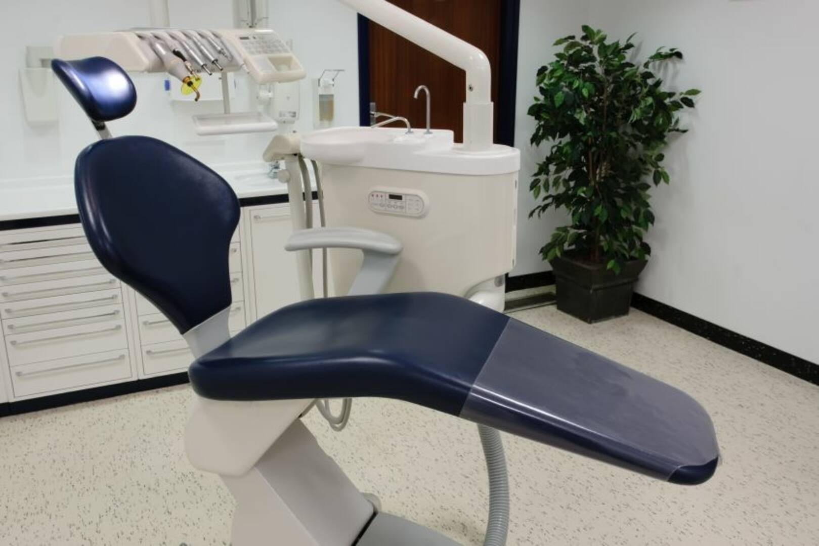 BridgeView Dental Group